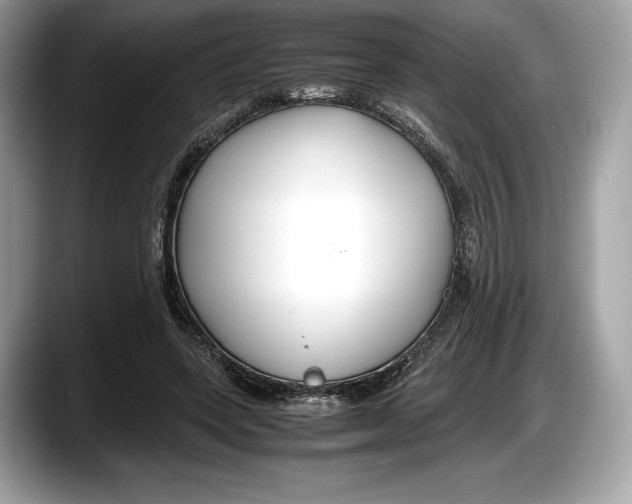 X0000087640543200705311328