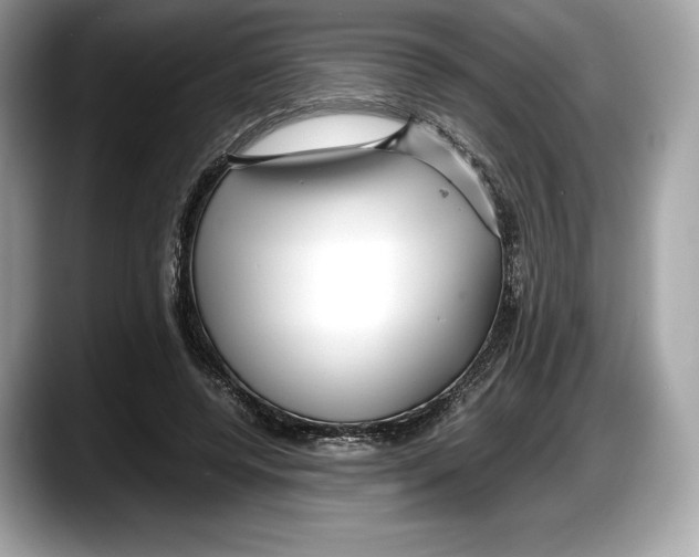 X0000087640544200705311328