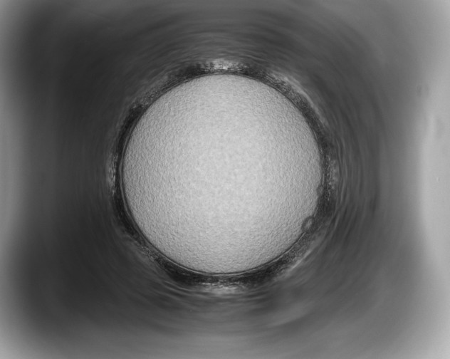 X0000087640545200705311328