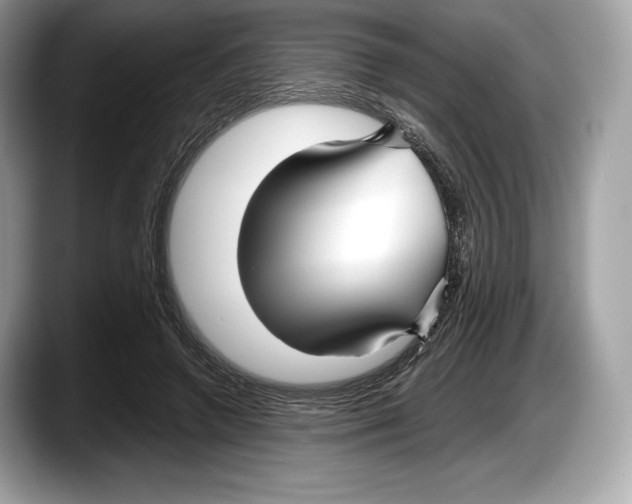 X0000087640546200705311328