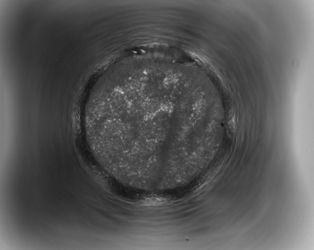 X0000087640547200705311328