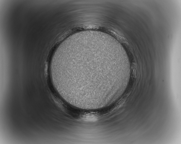 X0000087640550200705311328