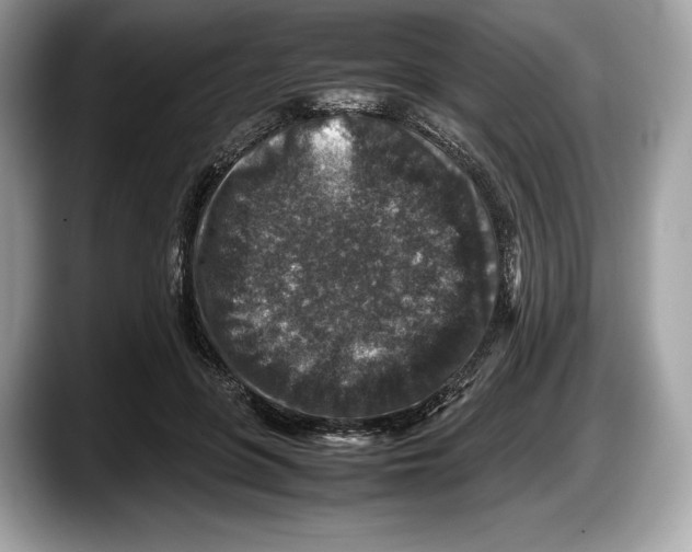 X0000087640551200705311328