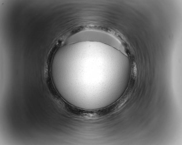 X0000087640552200705311328