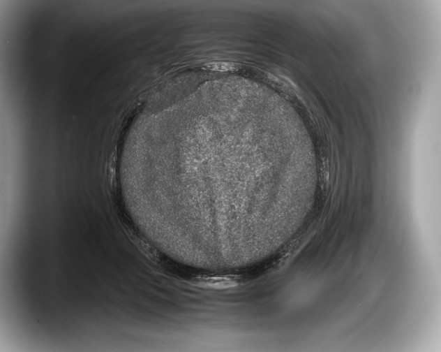 X0000087640553200705311328