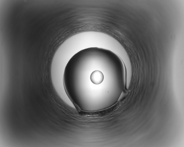 X0000087640556200705311328