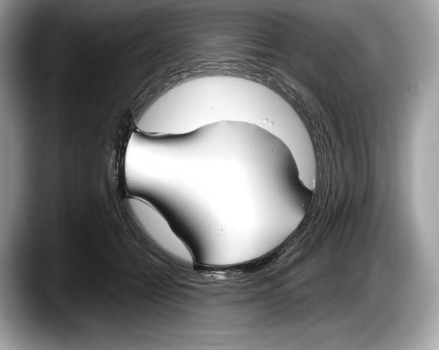 X0000087640558200705311328