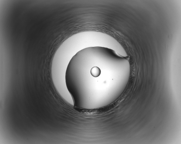 X0000087640560200705311329