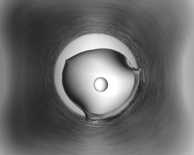 X0000087640564200705311329