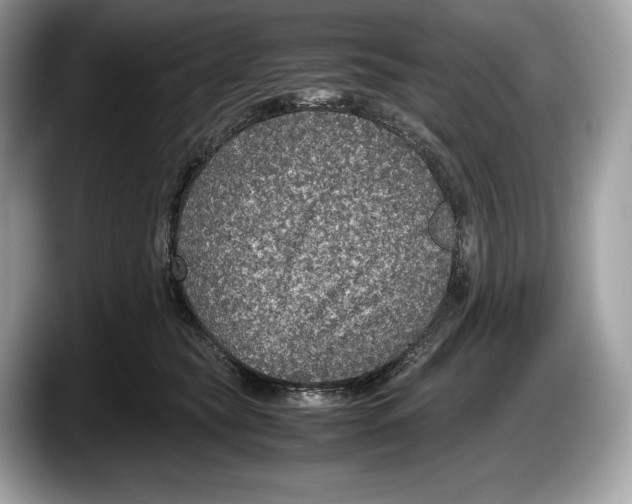 X0000087640565200705311329