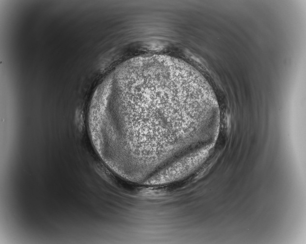 X0000087640568200705311329