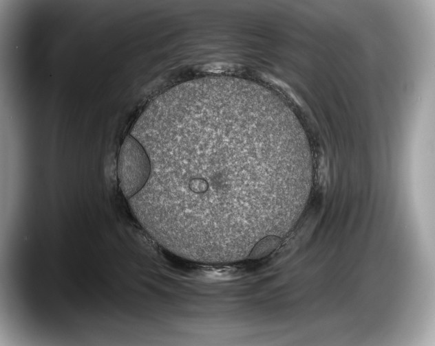 X0000087640569200705311329