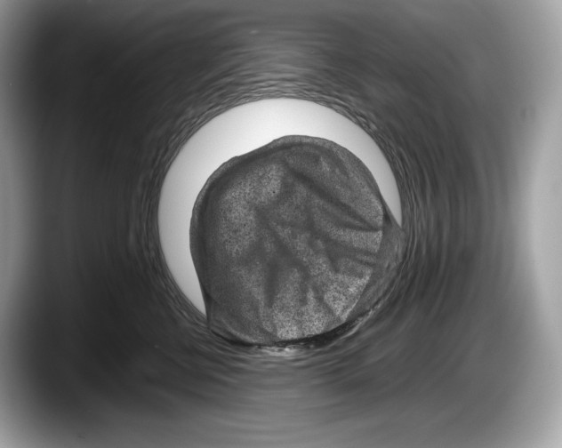 X0000087640570200705311329