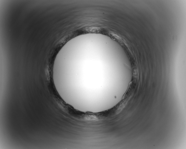 X0000087640572200705311329