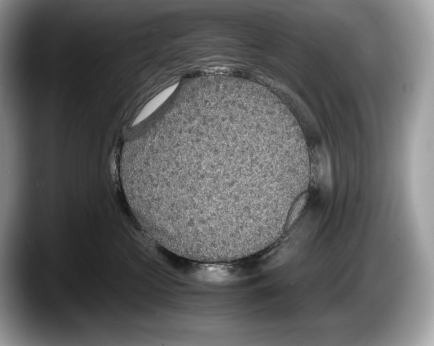 X0000087640573200705311329