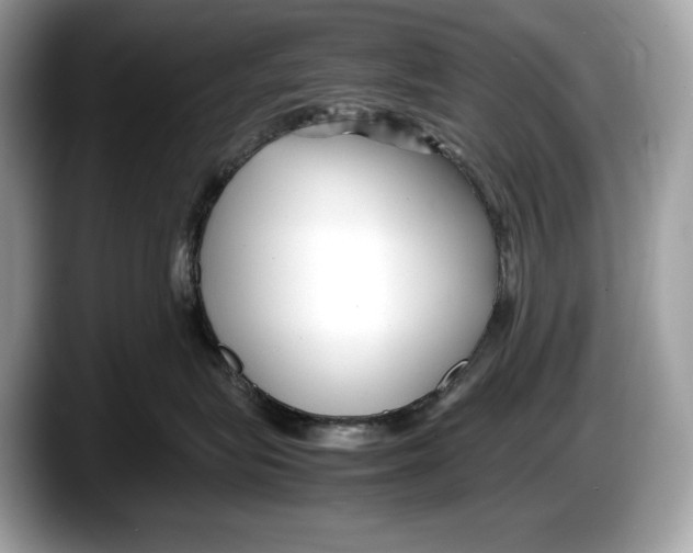 X0000087640575200705311329