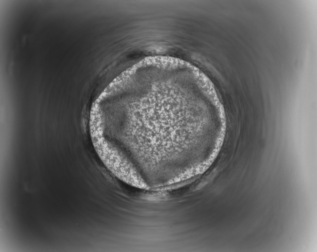 X0000087640576200705311329