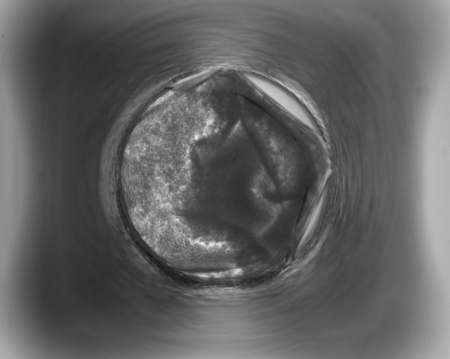 X0000087640577200705311328