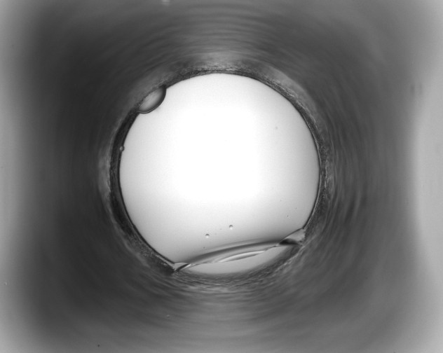 X0000087640578200705311328