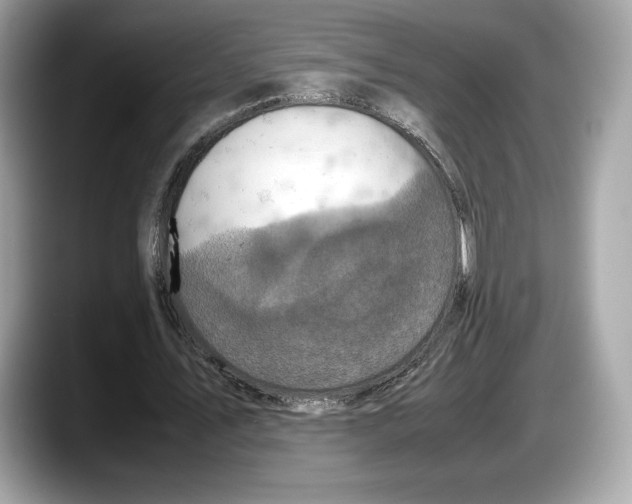 X0000087640579200705311328