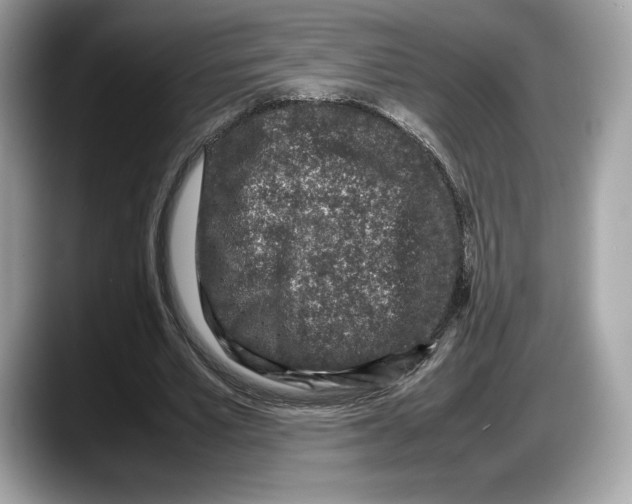 X0000087640581200705311328