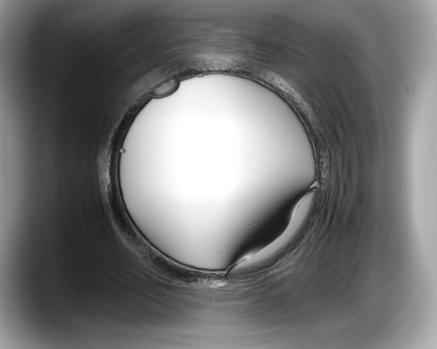 X0000087640582200705311328