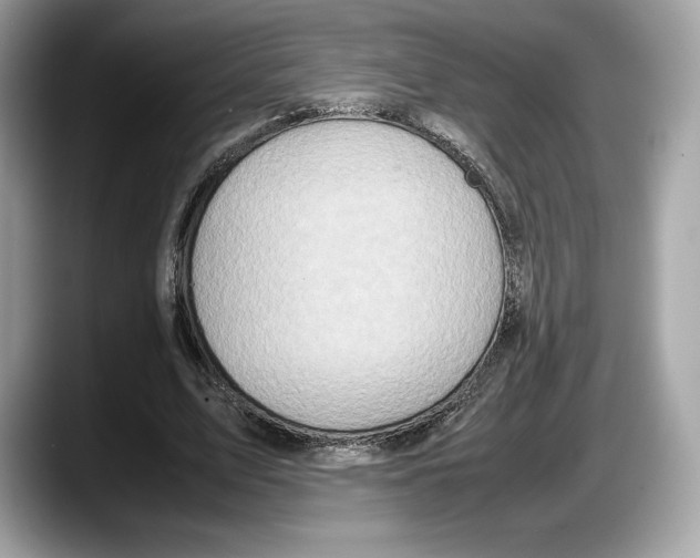 X0000087640583200705311328