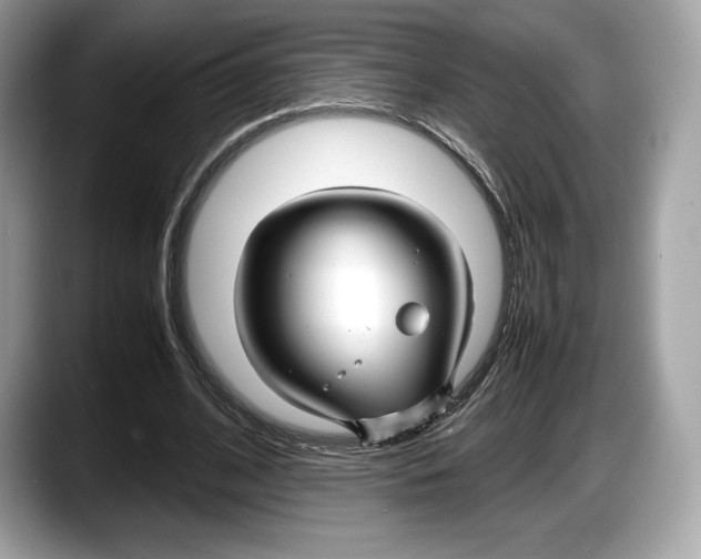 X0000087640584200705311328