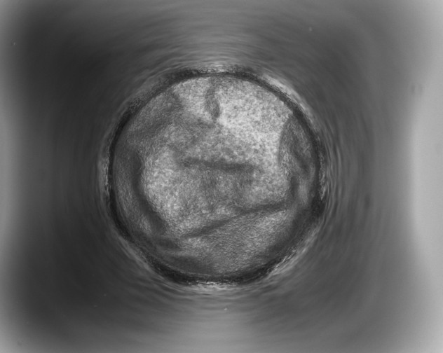 X0000087640585200705311328