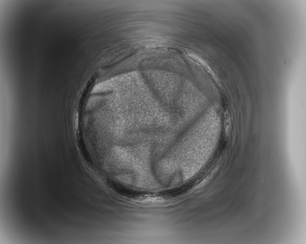 X0000087640589200705311328