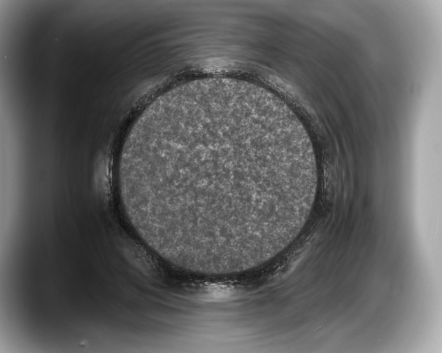 X0000087640592200705311328