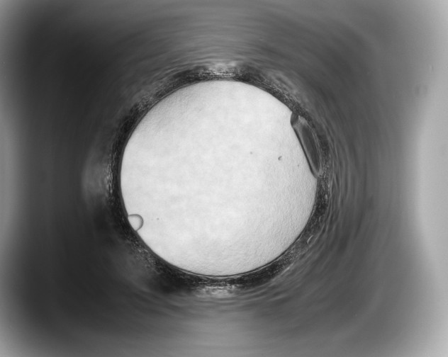 X0000087640595200705311328