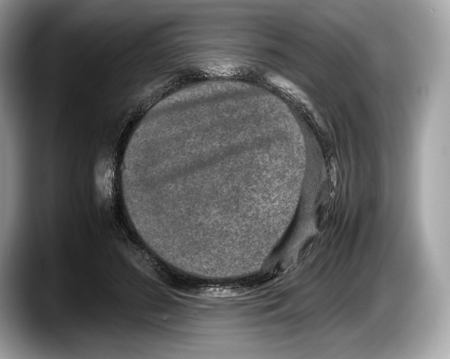 X0000087640596200705311328