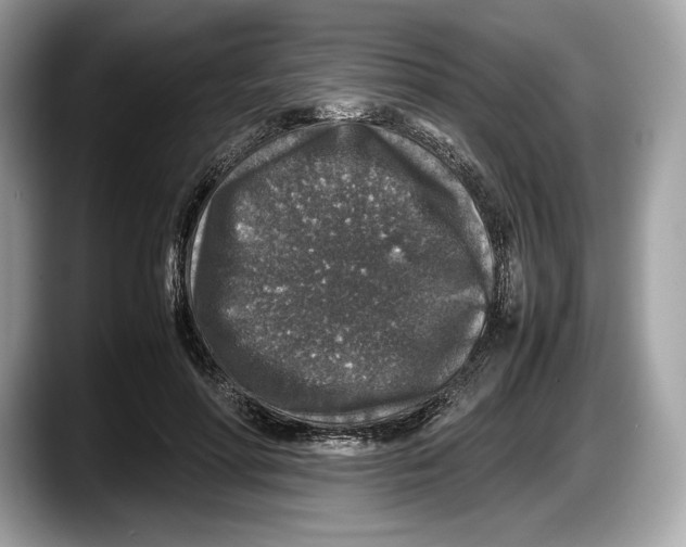 X0000087640598200705311328