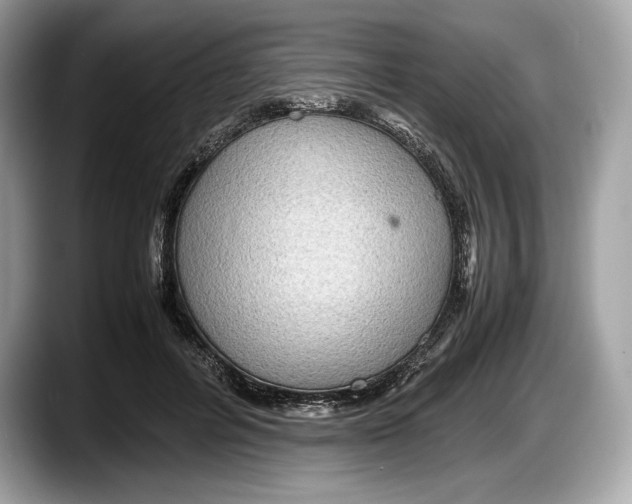 X0000087640600200705311328