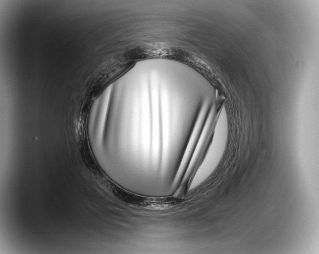 X0000087640601200705311328