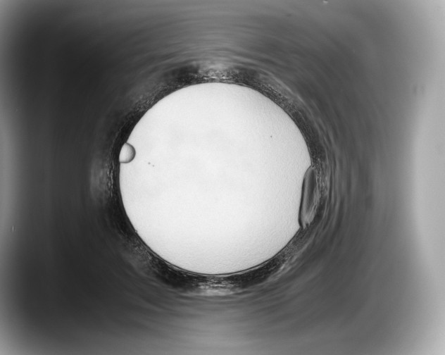 X0000087640603200705311328