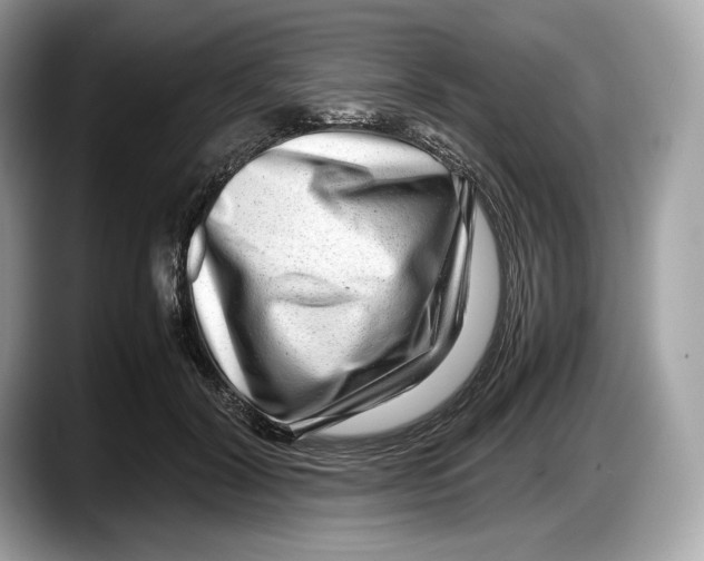 X0000087640604200705311328