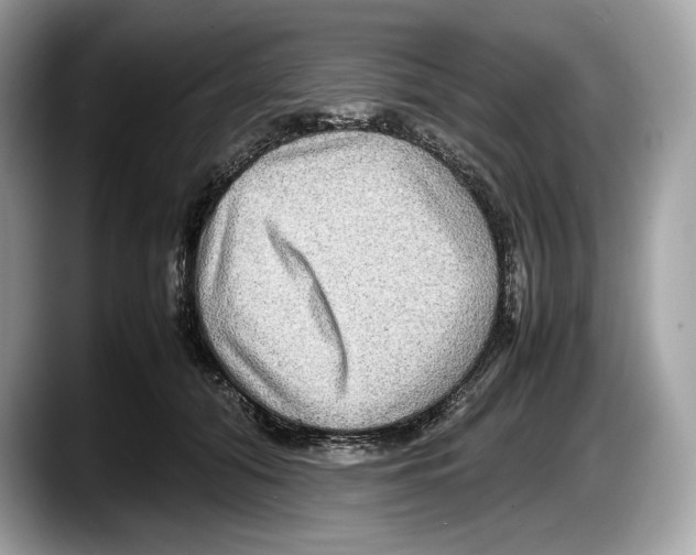 X0000087640608200705311328