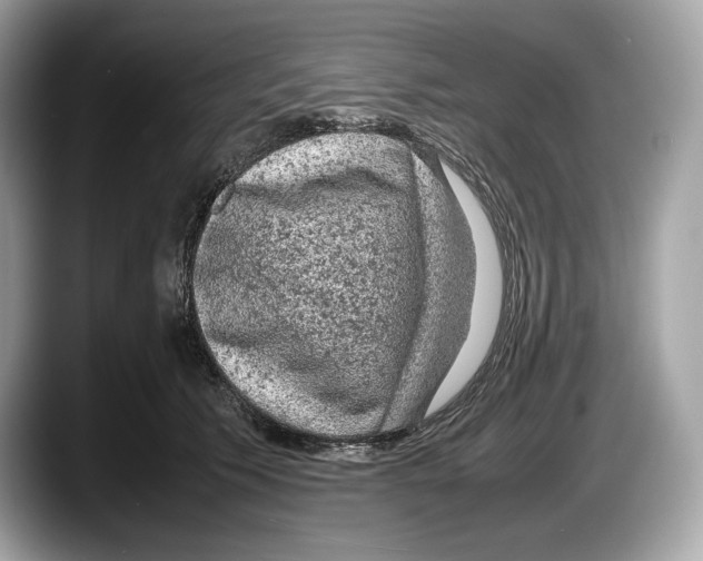 X0000087640609200705311328