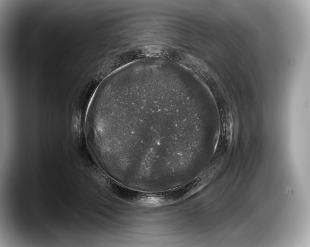 X0000087640610200705311328