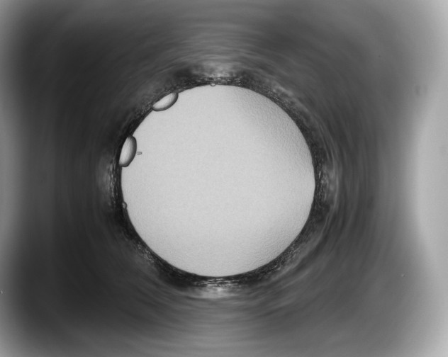 X0000087640612200705311328