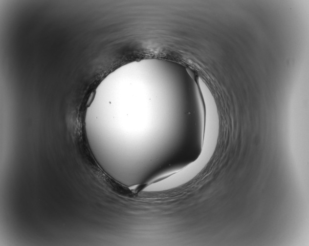 X0000087640613200705311328