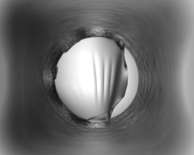 X0000087640617200705311328