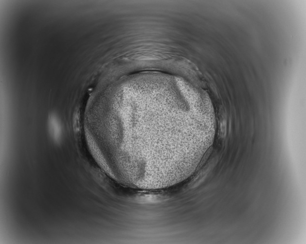 X0000087640620200705311328