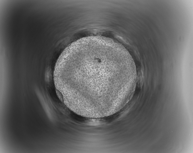 X0000087640623200705311328