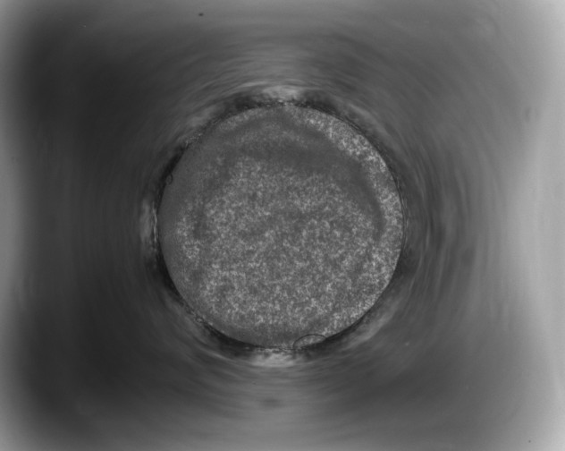 X0000087640624200705311328