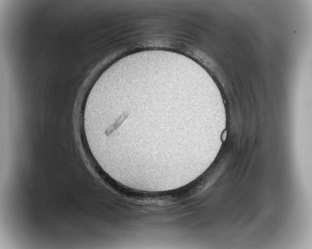 X0000087640625200705311327