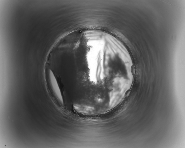 X0000087640626200705311327