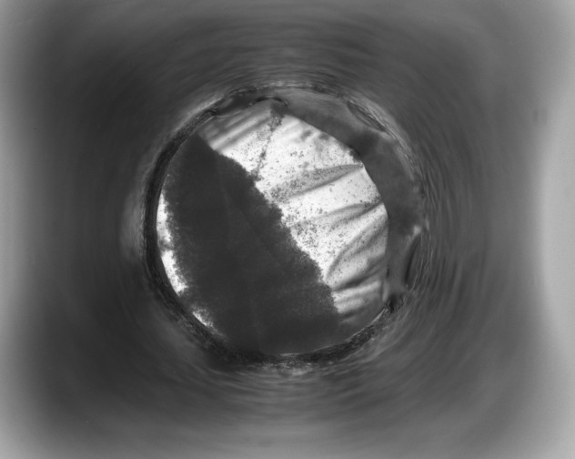 X0000087640627200705311327